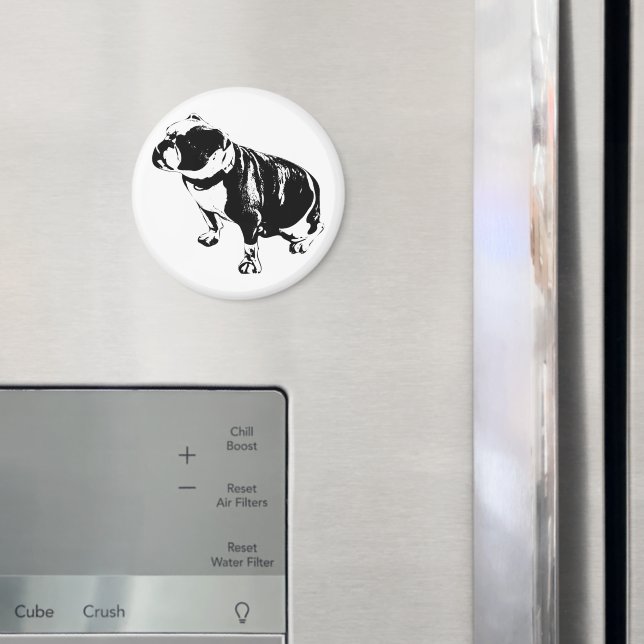 Stannar Put Magnet (In Situ (Fridge))