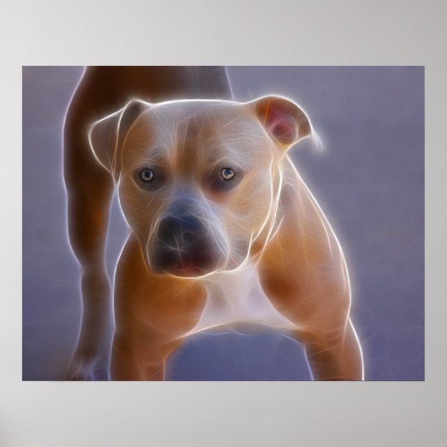 Stansen Poster (Framsidan)