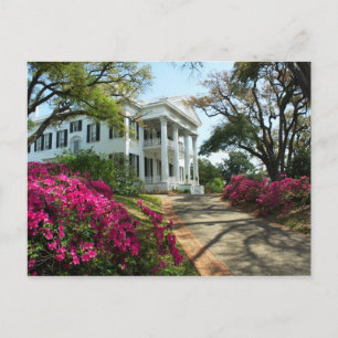 Stanton Hall - Vår i Natchez, Mississippi Vykort