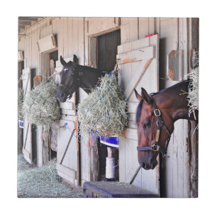 Stanwyck vid väldetillverkare kakelplatta