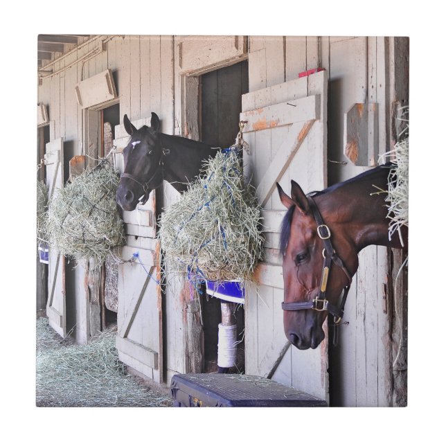 Stanwyck vid väldetillverkare kakelplatta (Framsidan)