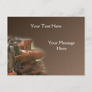 Staplad svamp av Vild Vykort