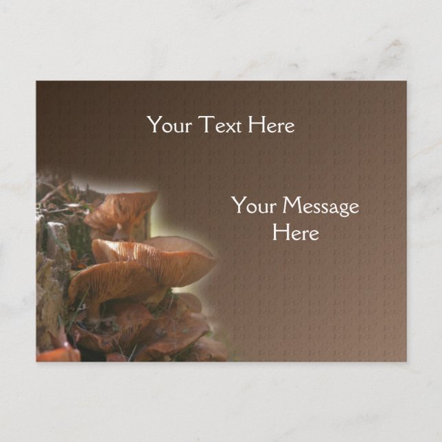 Staplad svamp av Vild Vykort (Framsida)