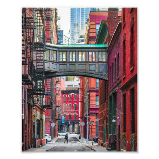 Staple Street Bridge Fototryck