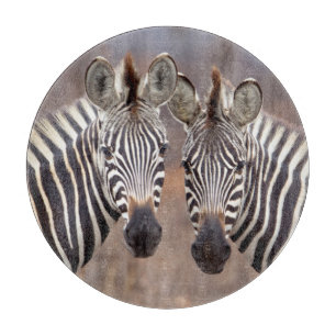Stäppzebror, Kruger nationalpark