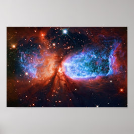 Star Birth i Cygnus, Svan Poster