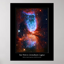 Star Birth in Constellation Cygnus, Svan Poster