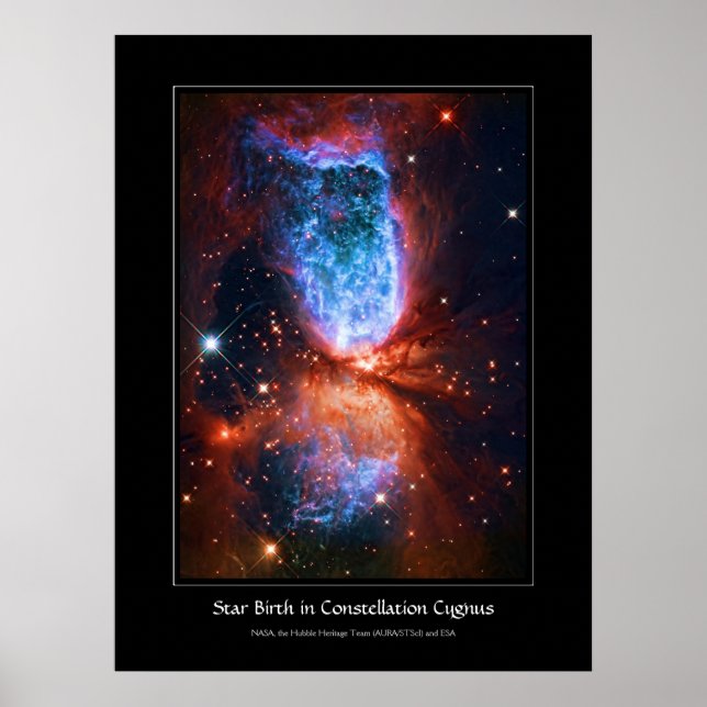 Star Birth in Constellation Cygnus, Svan Poster (Framsidan)