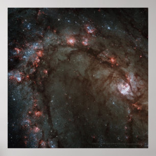 Star Birth in Galaxy M83 Detail 12 x 12 (13 x 13) Poster