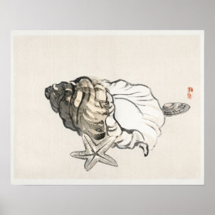Star-fisk och Conchby Kōno Bairei (1844-1895) Poster