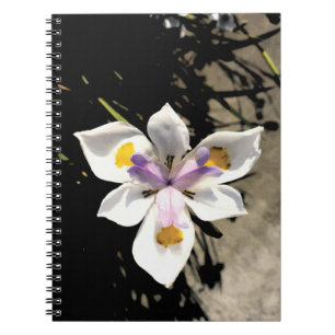 Star Flower Anteckningsbok