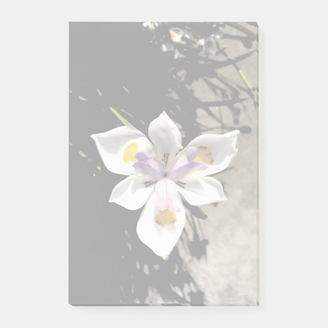 Star Flower Post-it Block (Framsida)
