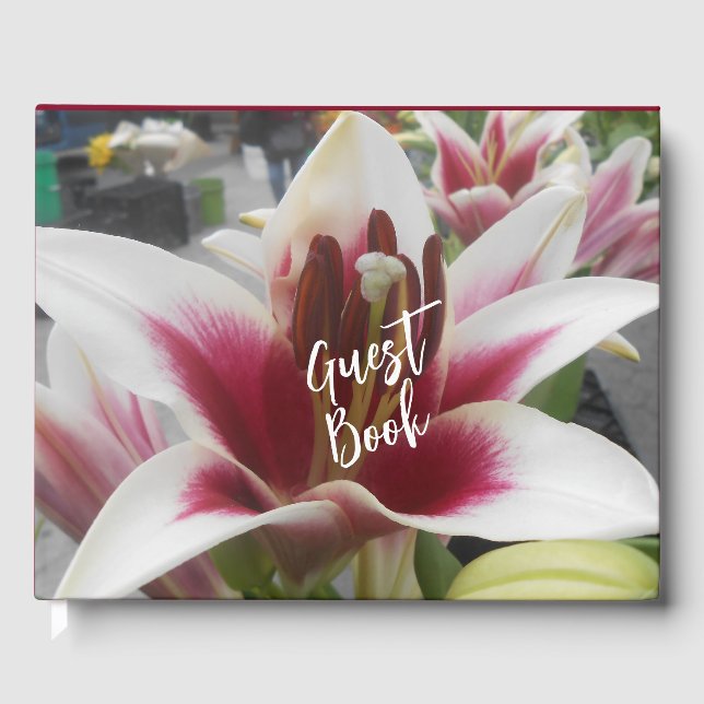 Star Gazer Gästböcker (Framsida)