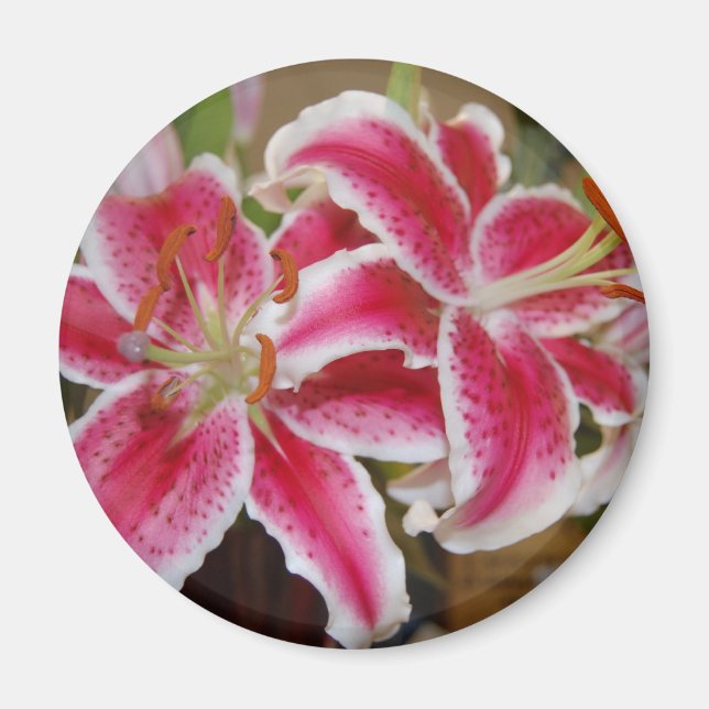 Star Gazer Lily Round Magnet (Framsidan)