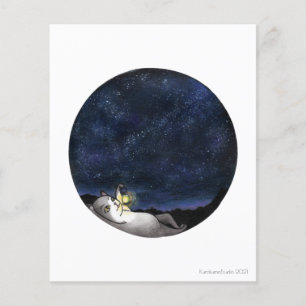 Star GazerCat