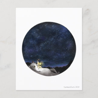 Star GazerCat