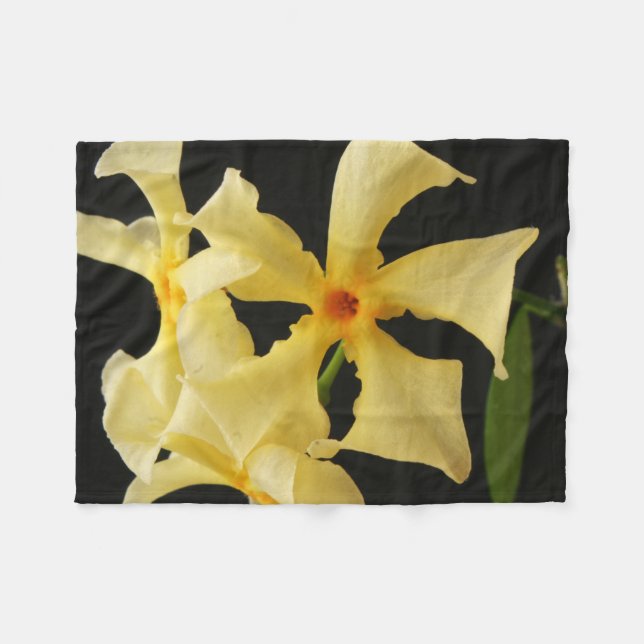 Star Jasmine Flower fbcna Fleecefilt (Framsidan (Horisontell))