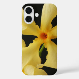 Star Jasmine Flower iphcna