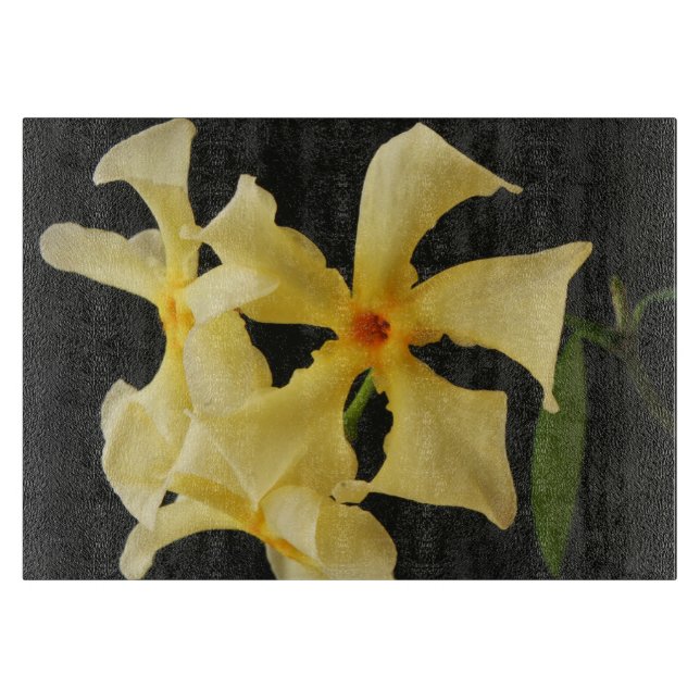 Star Jasmine Flower-kbcnm (Framsidan)