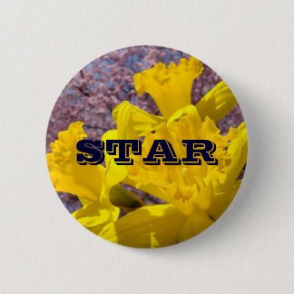 STAR knappar Ljust gula Narcisser Blommor