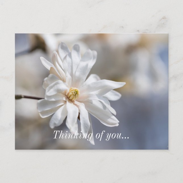 Star Magnolia Bloom tänker på ditt vykort (Framsida)