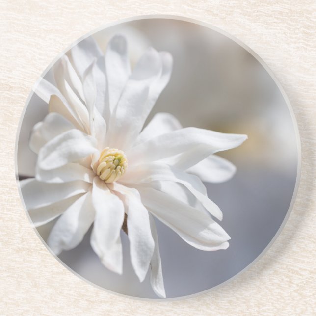 Star Magnolia Bloom Underlägg (Framsidan)