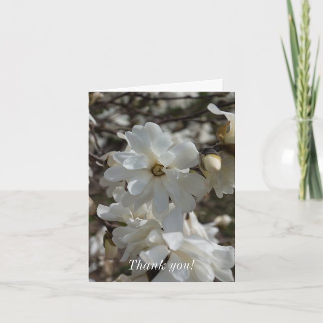 Star Magnolia Blooms Tack Kort (Framsida)
