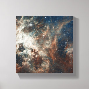 Star Maker Canvastryck
