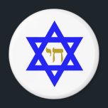 STAR of David & Symbol of LIFE Magnet<br><div class="desc">smyckesymboler</div>