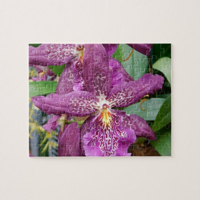 Star Orchids Puzzle Pussel (Horisontell)