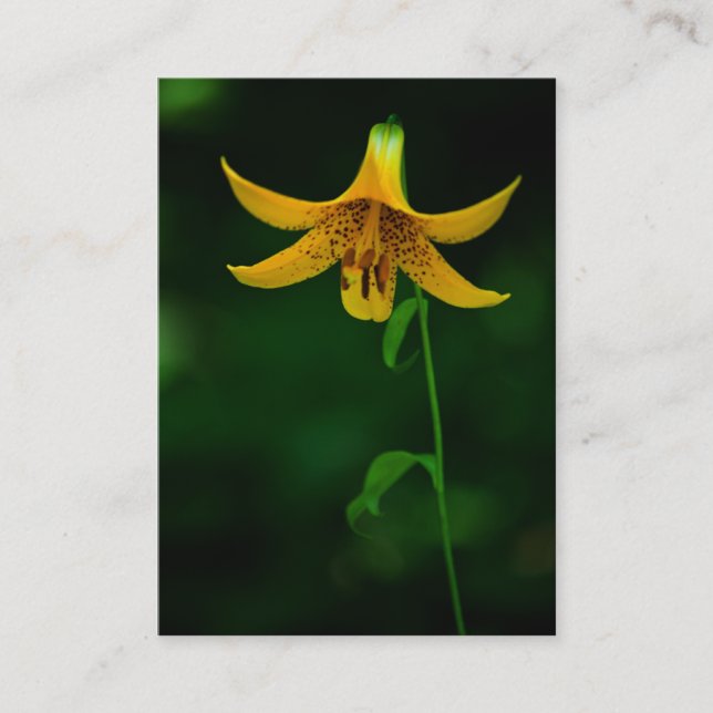 Star Pose Mini-utskrift Visitkort (Framsida)