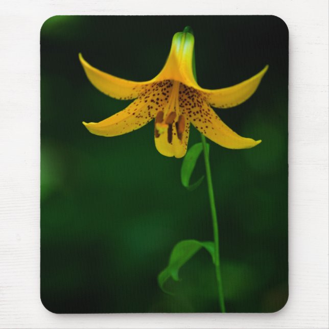 Star Pose Mousepad Musmatta (Framsidan)