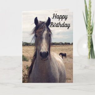 Star the Arab Pony, Birthday Card Anteckningskort