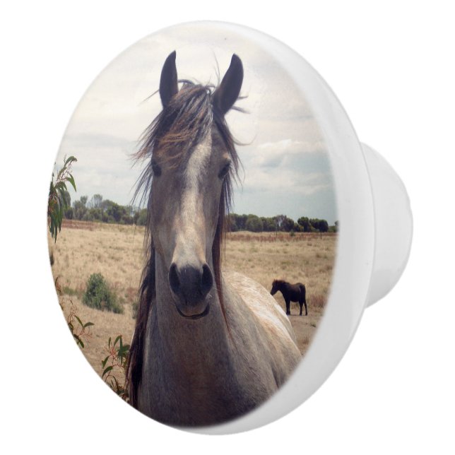 Star The Arab Pony Knopp (Höger)