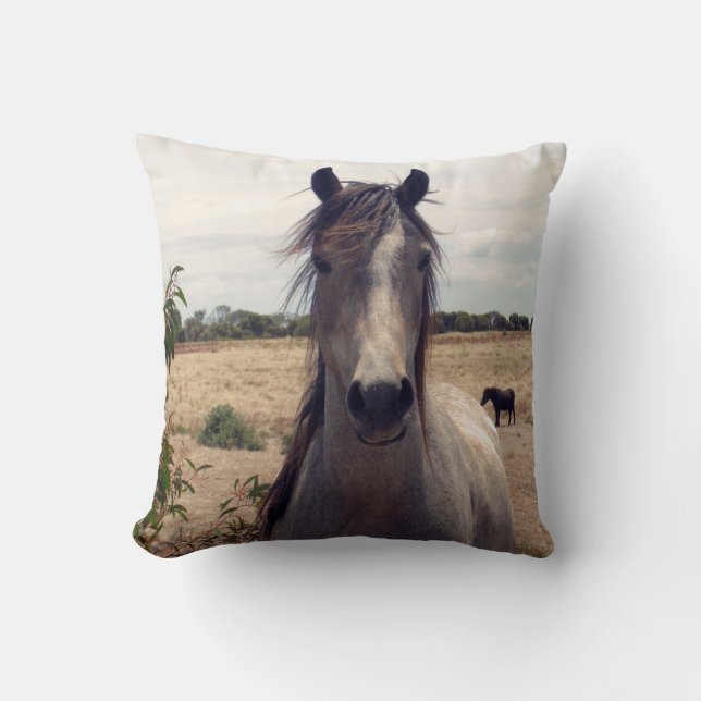 Star_The_Horse,_ Kudde (Framsida)