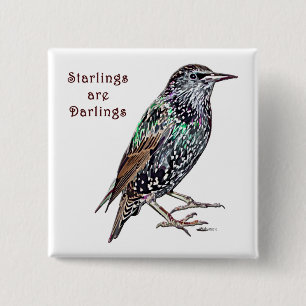 Starar är gullisar knapp