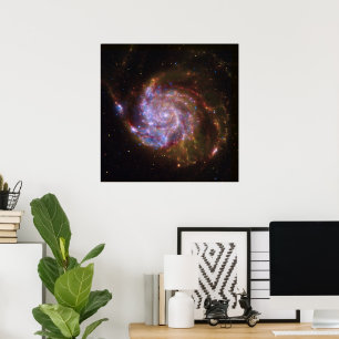 Starbörd i Pinjul: M101 Galaxy Poster