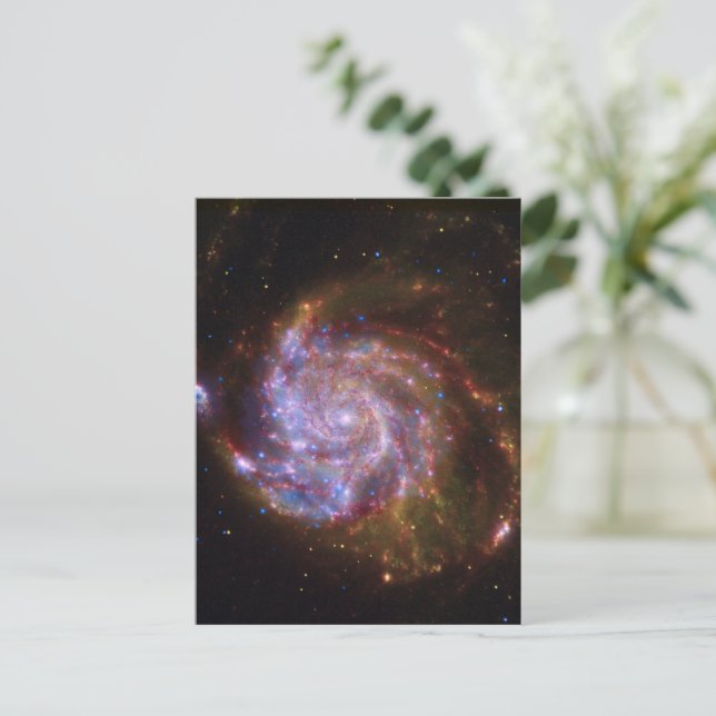 Starbörd i Pinjul: M101 Galaxy Vykort (Stående Fram)
