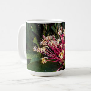 Starburst Clerodendrum Flowers Mugg