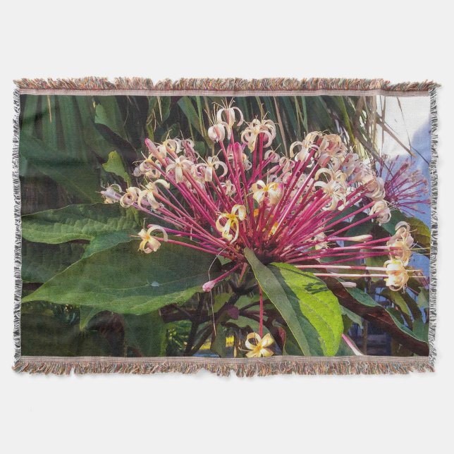 Starburst Clerodendrum Flowers Throw Blanket Filt (Framsidan)