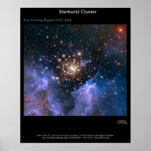 Starburst samla i en klunga NGC 3603 Poster