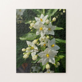 Starburst Trädgård Blommar Pussel