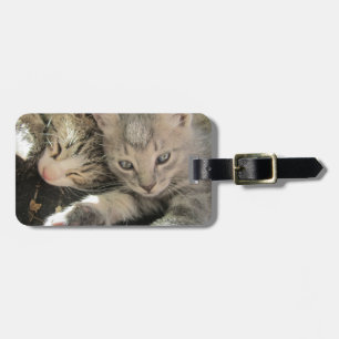 Stardust kattungar bagagebricka