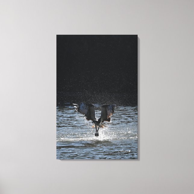 Stardust - Osprey Canvastryck (Framsida)