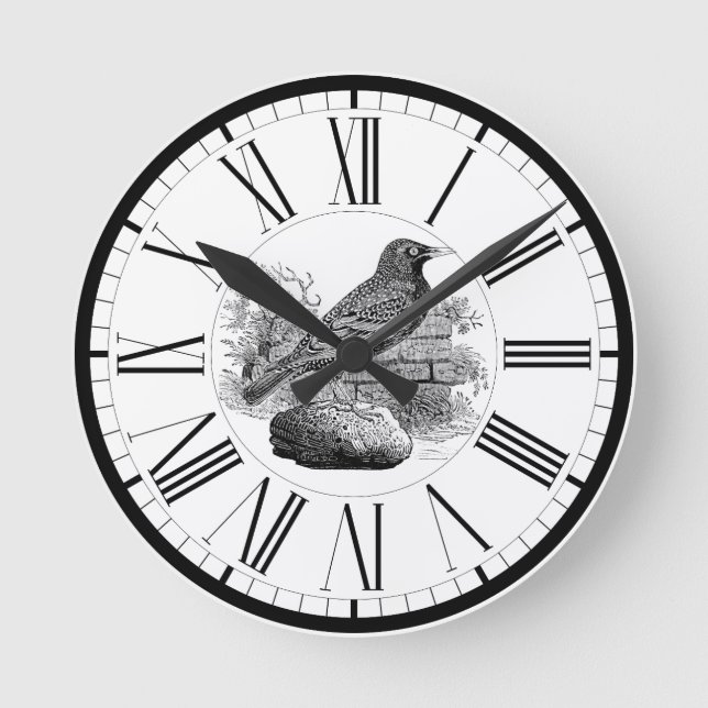 Stare British Bird Illustration Rund Klocka (Framsida)