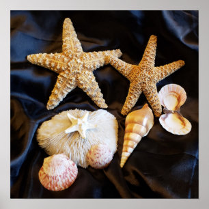 Starfikvagnar sjöliv strand livsfoto poster