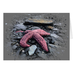 Starfish - 5 tum x 7 tum Art Card Hälsningskort