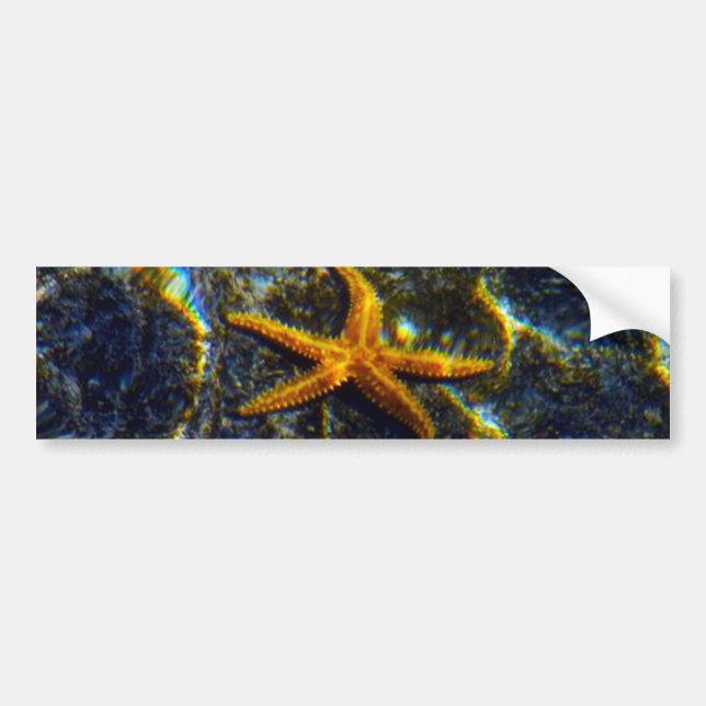 Starfish Bumper Sticker Bildekal (Framsidan)