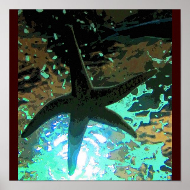 Starfish CB Poster (Framsidan)