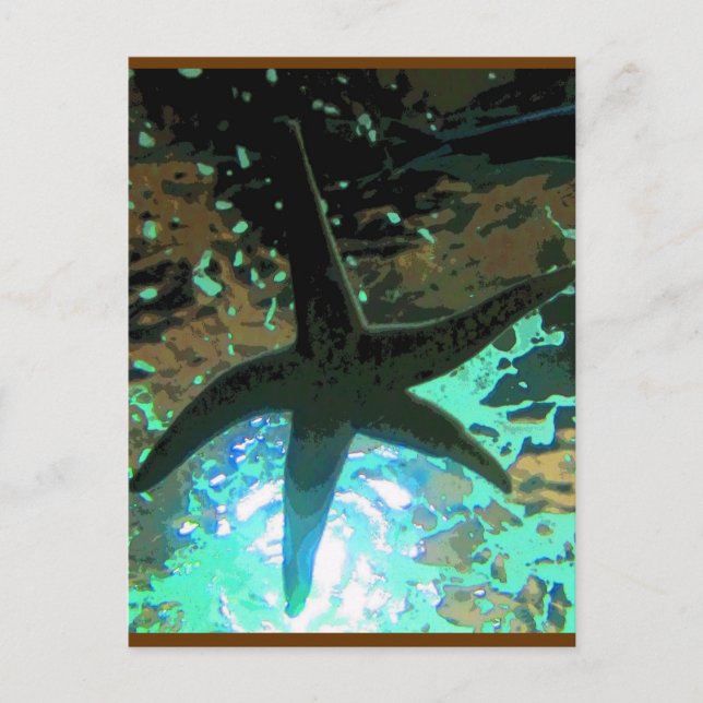 Starfish CB Vykort (Framsida)